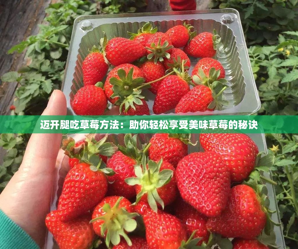 迈开腿吃草莓方法：助你轻松享受美味草莓的秘诀