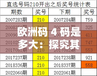 欧洲码 4 码是多大：探究其对应的尺寸详情
