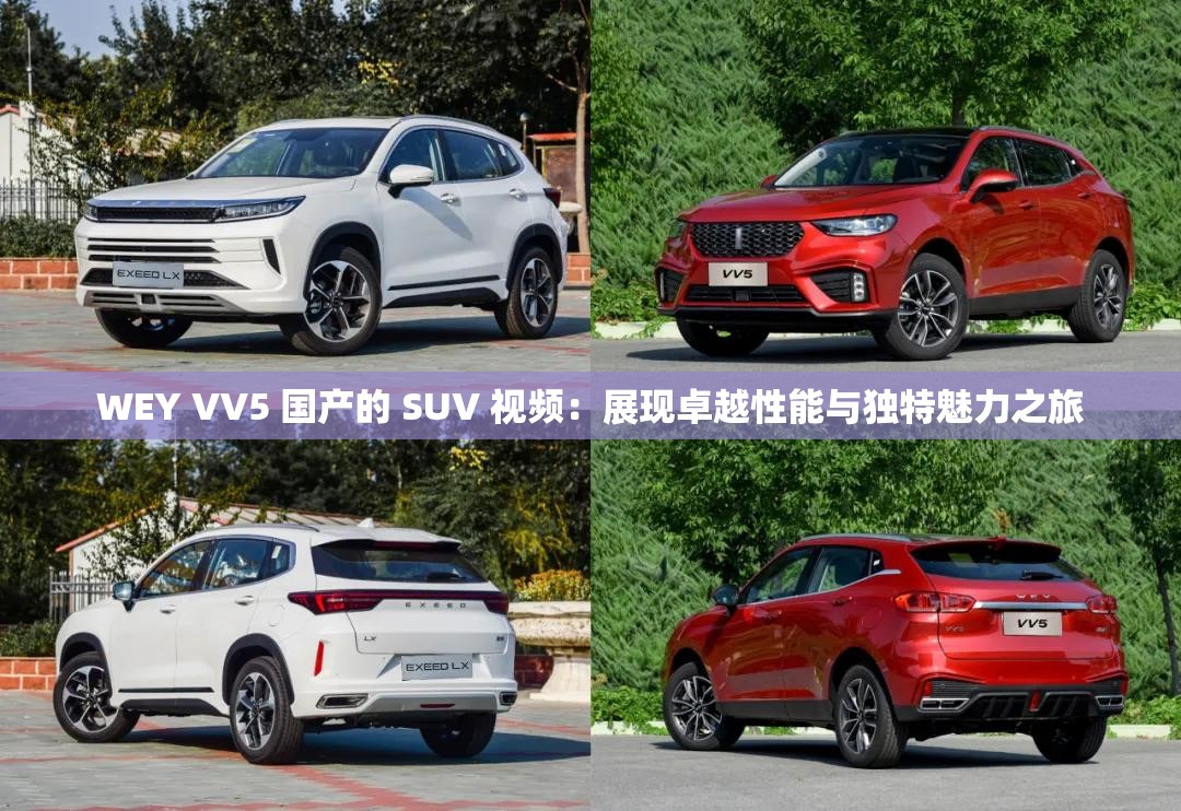 WEY VV5 国产的 SUV 视频：展现卓越性能与独特魅力之旅