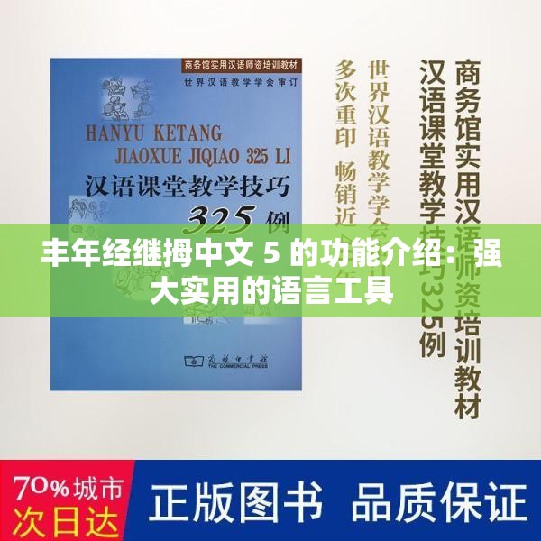 丰年经继拇中文 5 的功能介绍：强大实用的语言工具