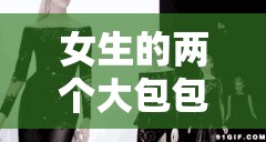 女生的两个大包包：承载梦想与时尚的独特魅力象征