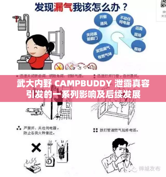 武大内野 CAMPBUDDY 泄露真容引发的一系列影响及后续发展