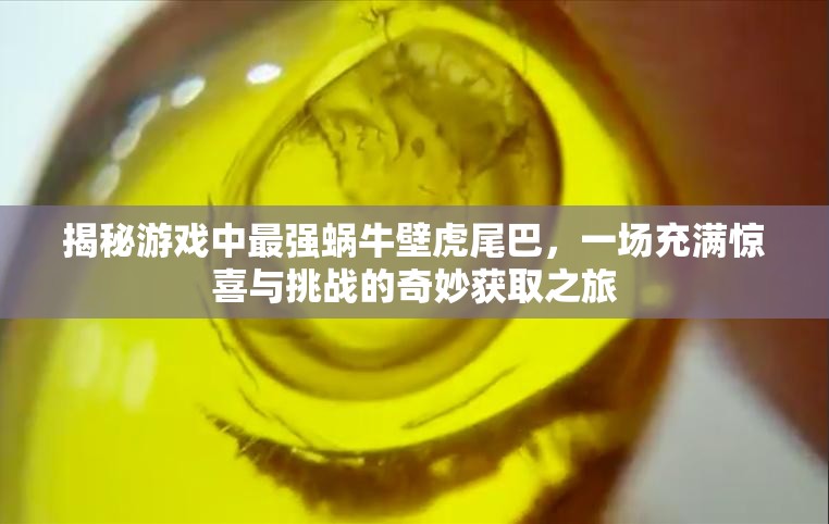 揭秘游戏中最强蜗牛壁虎尾巴，一场充满惊喜与挑战的奇妙获取之旅