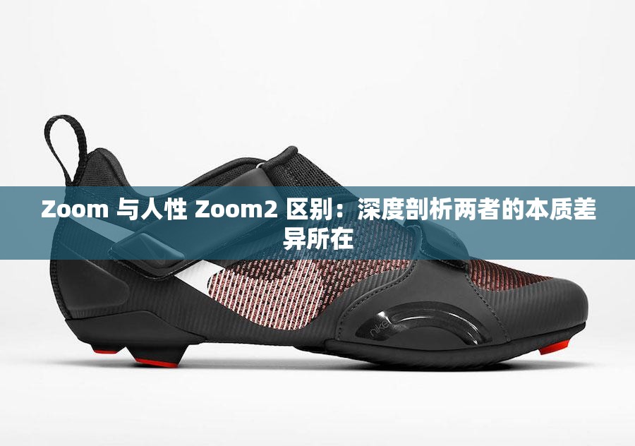 Zoom 与人性 Zoom2 区别：深度剖析两者的本质差异所在