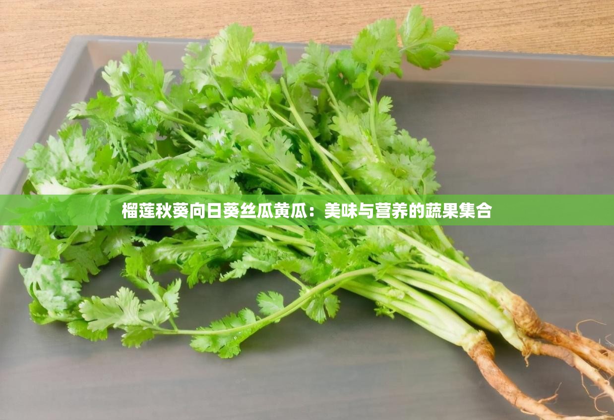 榴莲秋葵向日葵丝瓜黄瓜：美味与营养的蔬果集合