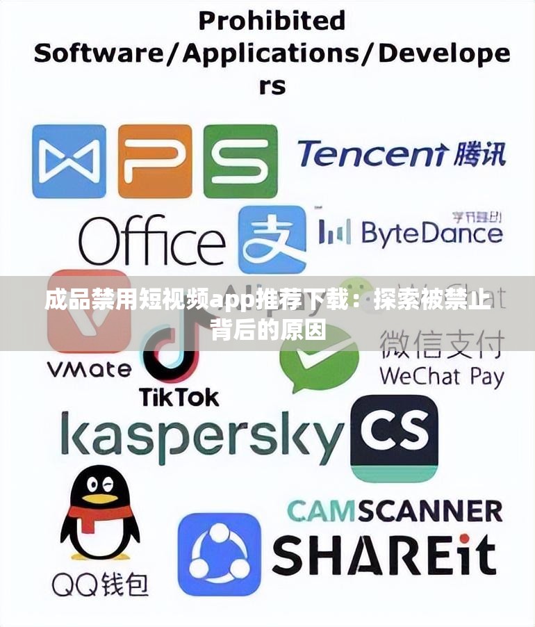 成品禁用短视频app推荐下载：探索被禁止背后的原因