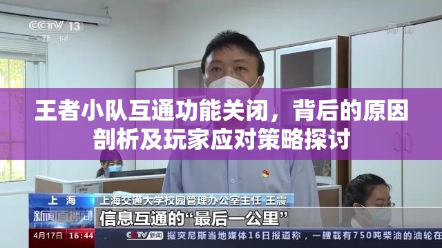 王者小队互通功能关闭，背后的原因剖析及玩家应对策略探讨