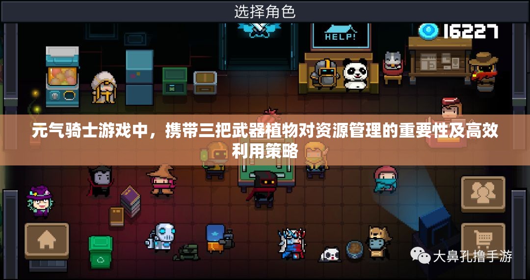 元气骑士游戏中，携带三把武器植物对资源管理的重要性及高效利用策略