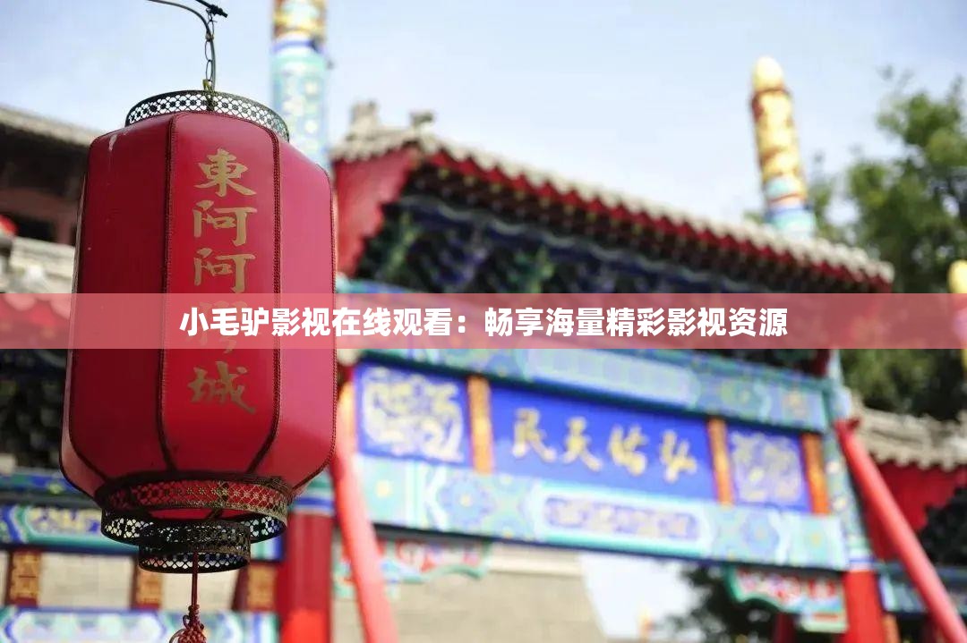 小毛驴影视在线观看：畅享海量精彩影视资源