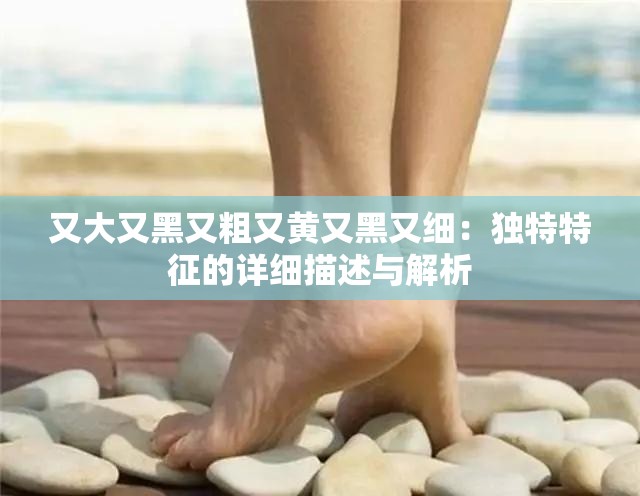 又大又黑又粗又黄又黑又细：独特特征的详细描述与解析