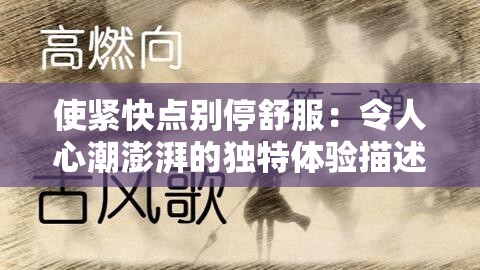 使紧快点别停舒服：令人心潮澎湃的独特体验描述