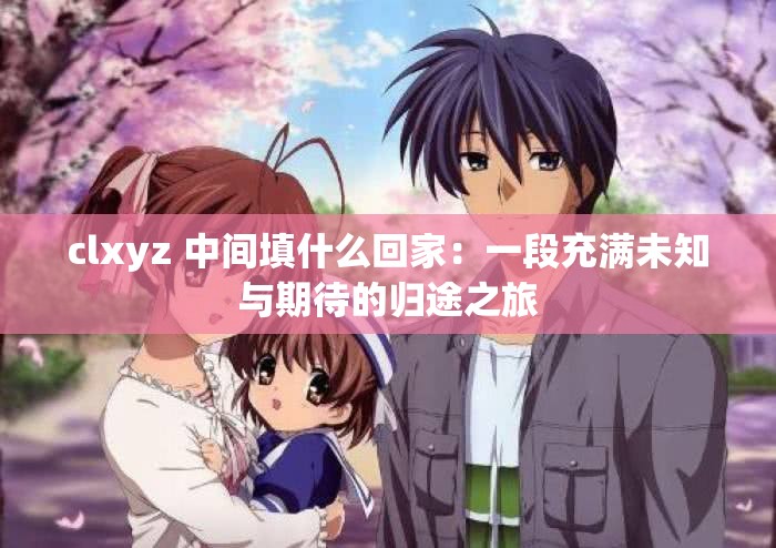 clxyz 中间填什么回家：一段充满未知与期待的归途之旅