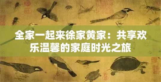 全家一起来徐家黄家：共享欢乐温馨的家庭时光之旅
