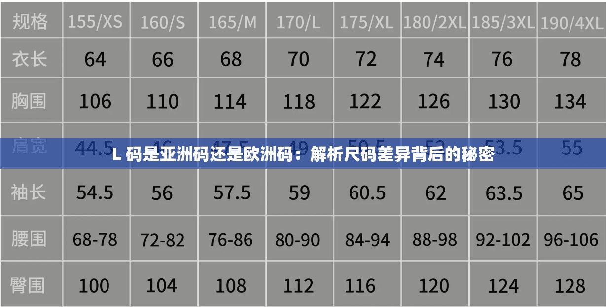 L 码是亚洲码还是欧洲码：解析尺码差异背后的秘密