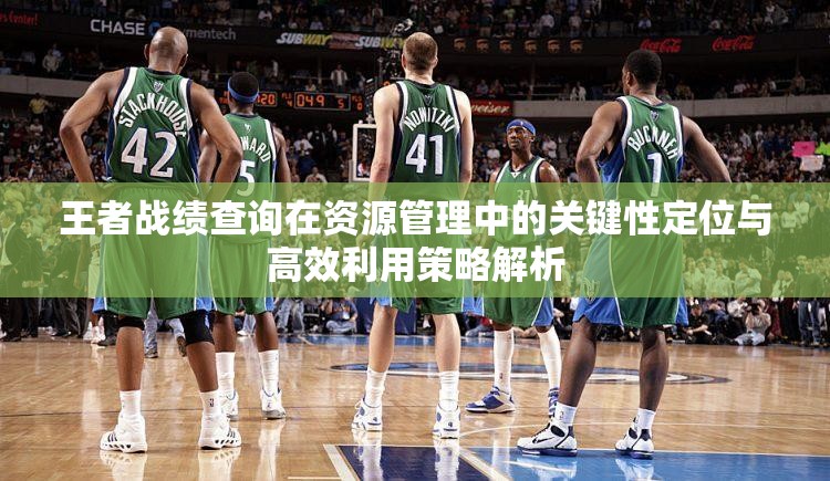 王者战绩查询在资源管理中的关键性定位与高效利用策略解析