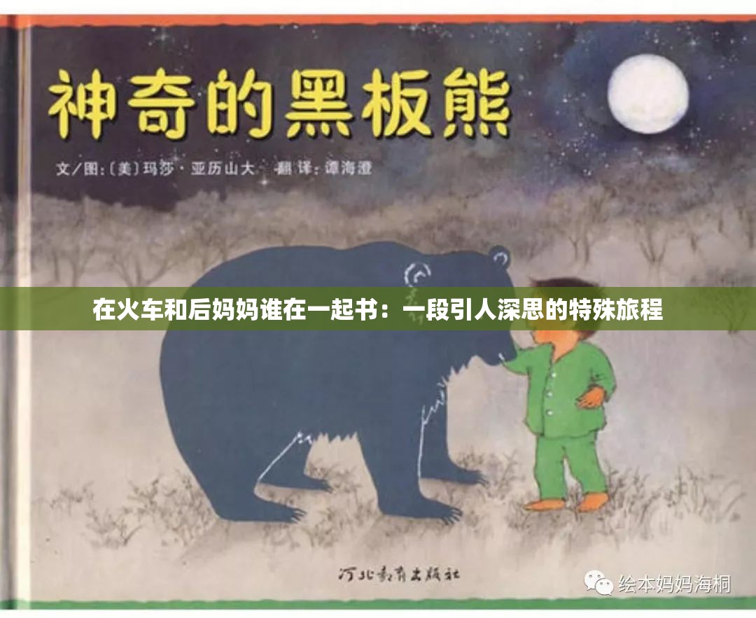 在火车和后妈妈谁在一起书：一段引人深思的特殊旅程