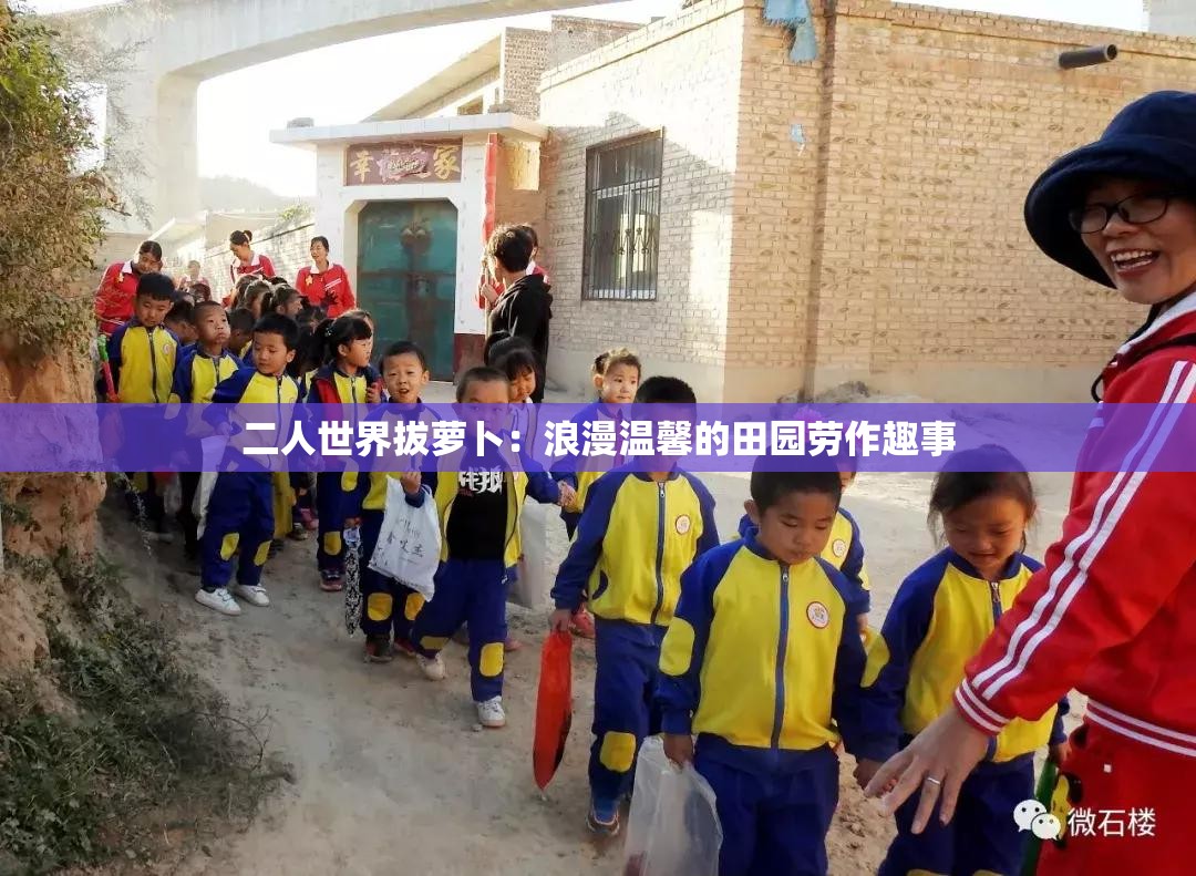 二人世界拔萝卜：浪漫温馨的田园劳作趣事