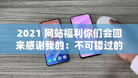 2021 网站福利你们会回来感谢我的：不可错过的超值惊喜