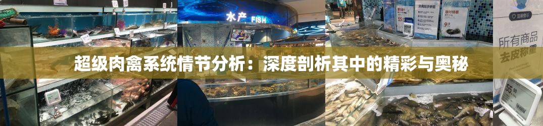 超级肉禽系统情节分析：深度剖析其中的精彩与奥秘