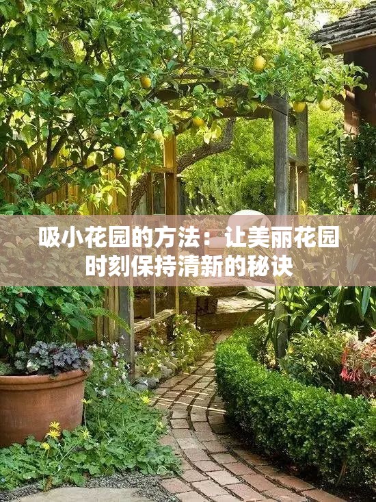 吸小花园的方法：让美丽花园时刻保持清新的秘诀