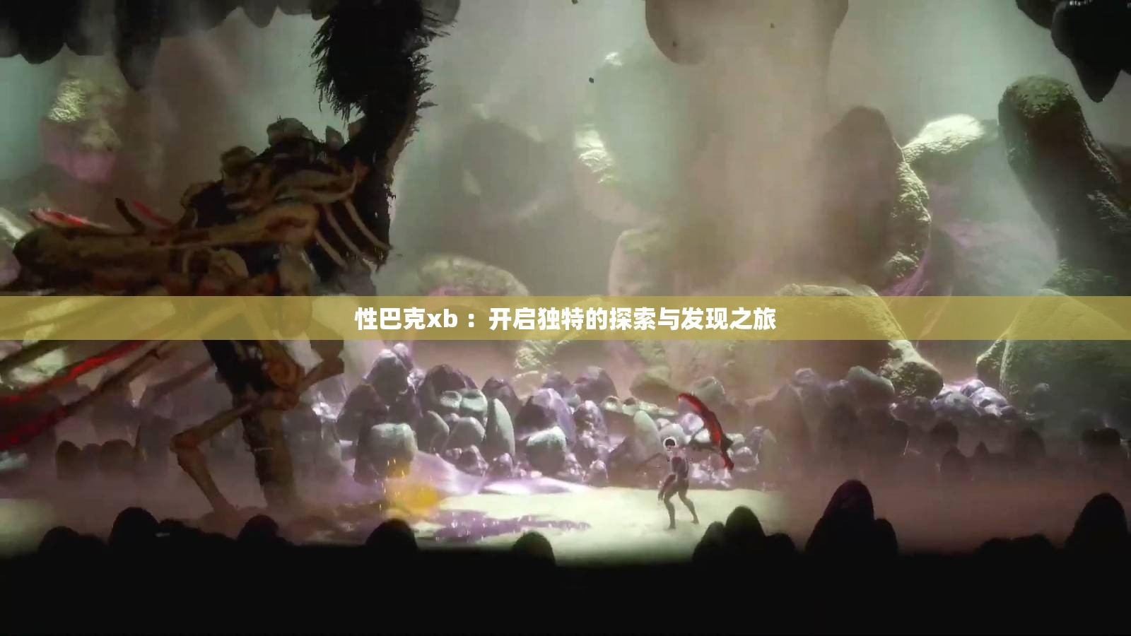 性巴克xb ：开启独特的探索与发现之旅