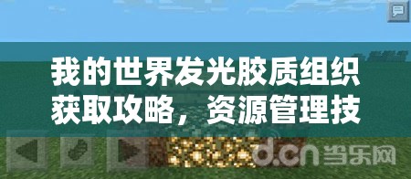 我的世界发光胶质组织获取攻略，资源管理技巧、高效利用策略及避免浪费方法