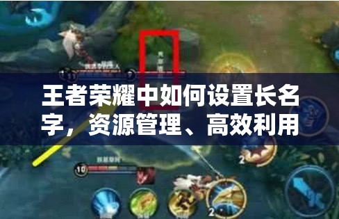 王者荣耀中如何设置长名字，资源管理、高效利用技巧及避免浪费指南