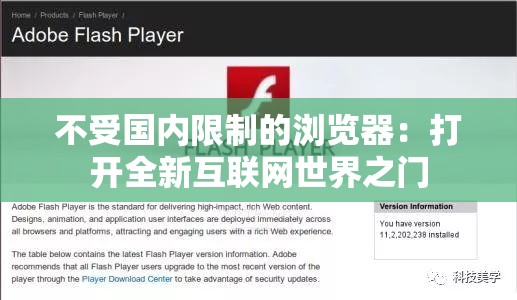 不受国内限制的浏览器：打开全新互联网世界之门