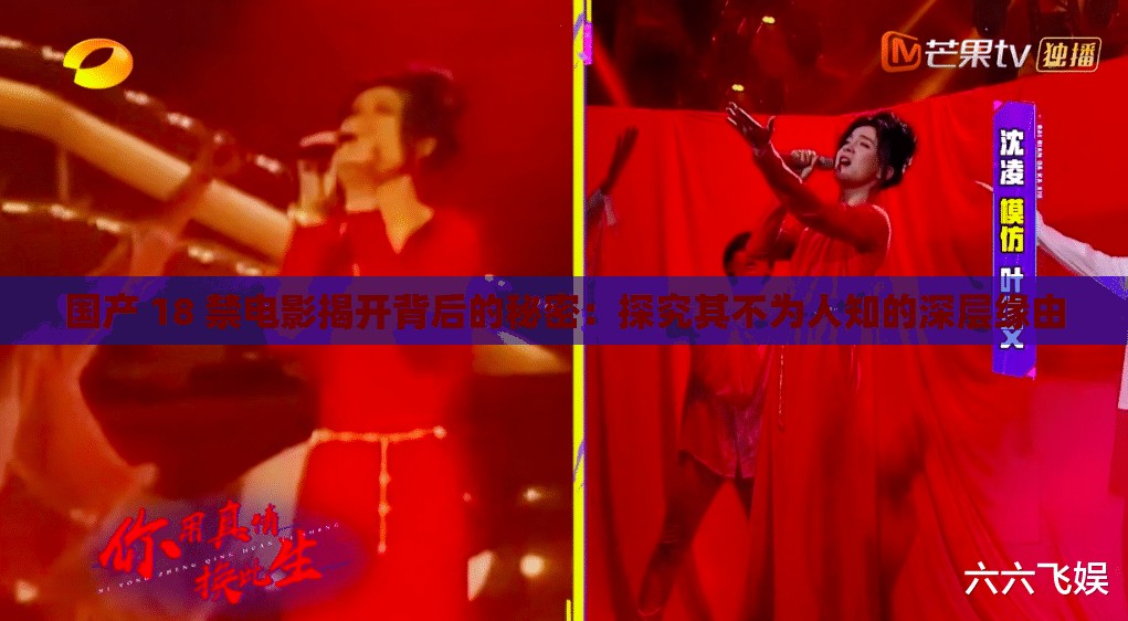 国产 18 禁电影揭开背后的秘密：探究其不为人知的深层缘由