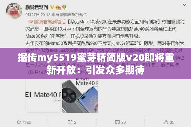 据传my5519蜜芽精简版v20即将重新开放：引发众多期待