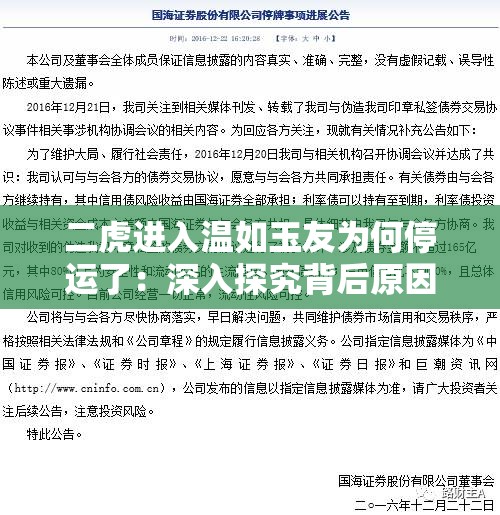 二虎进入温如玉友为何停运了：深入探究背后原因及影响