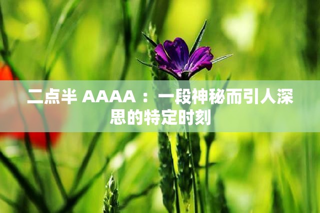 二点半 AAAA ：一段神秘而引人深思的特定时刻