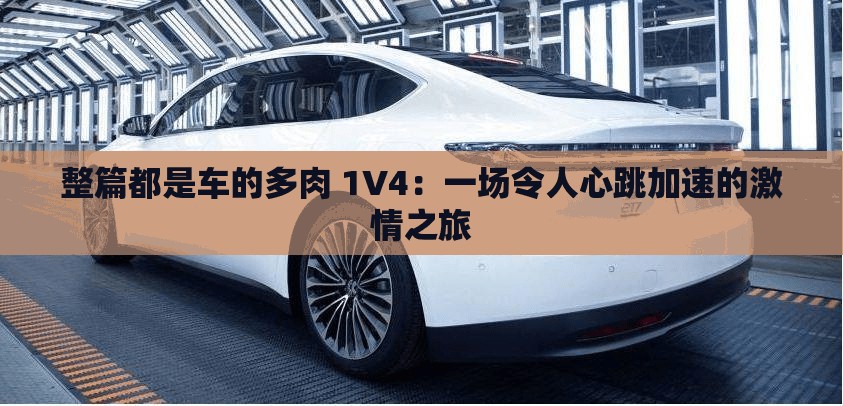 整篇都是车的多肉 1V4：一场令人心跳加速的激情之旅