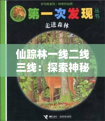 仙踪林一线二线三线：探索神秘森林的不同层次与奇妙景观