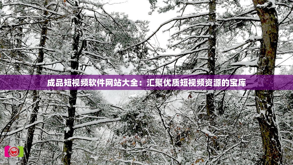 成品短视频软件网站大全：汇聚优质短视频资源的宝库