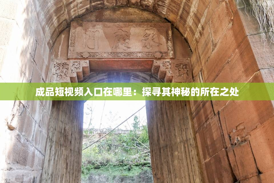 成品短视频入口在哪里：探寻其神秘的所在之处