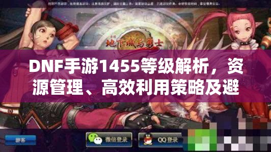 DNF手游1455等级解析，资源管理、高效利用策略及避免浪费全攻略