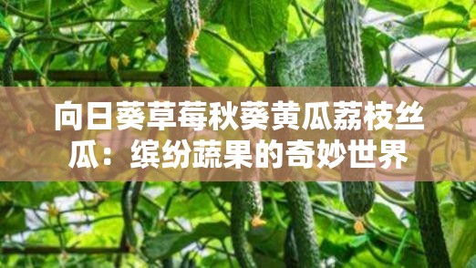 向日葵草莓秋葵黄瓜荔枝丝瓜：缤纷蔬果的奇妙世界