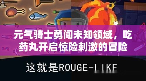 元气骑士勇闯未知领域，吃药丸开启惊险刺激的冒险之旅