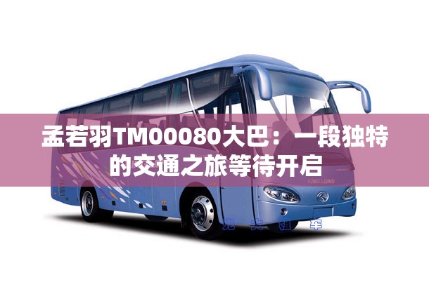 孟若羽TM00080大巴：一段独特的交通之旅等待开启