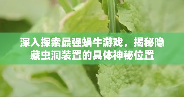 深入探索最强蜗牛游戏，揭秘隐藏虫洞装置的具体神秘位置