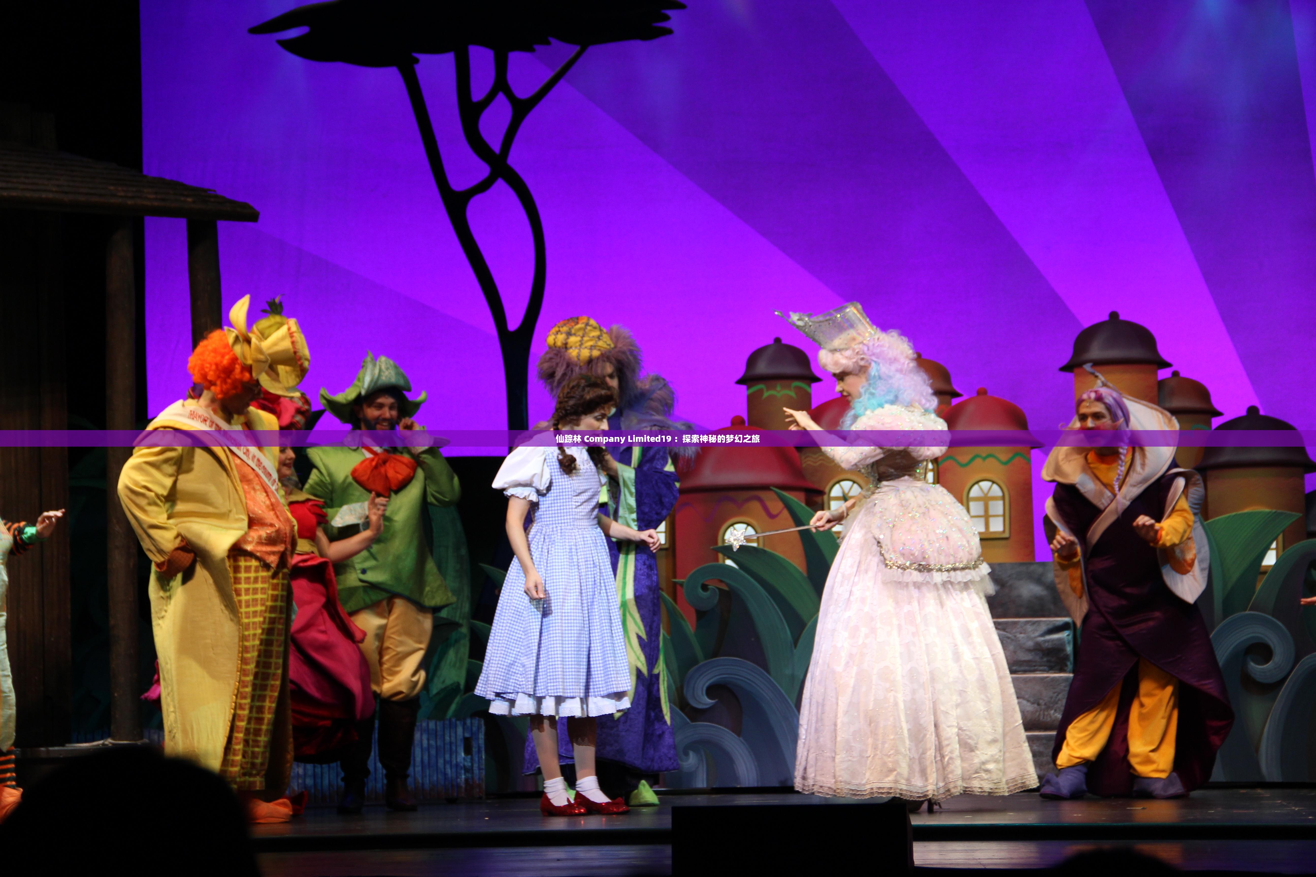 仙踪林 Company Limited19 ：探索神秘的梦幻之旅