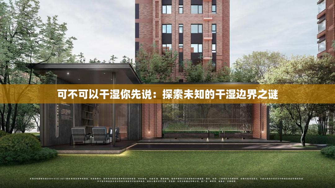 可不可以干湿你先说：探索未知的干湿边界之谜