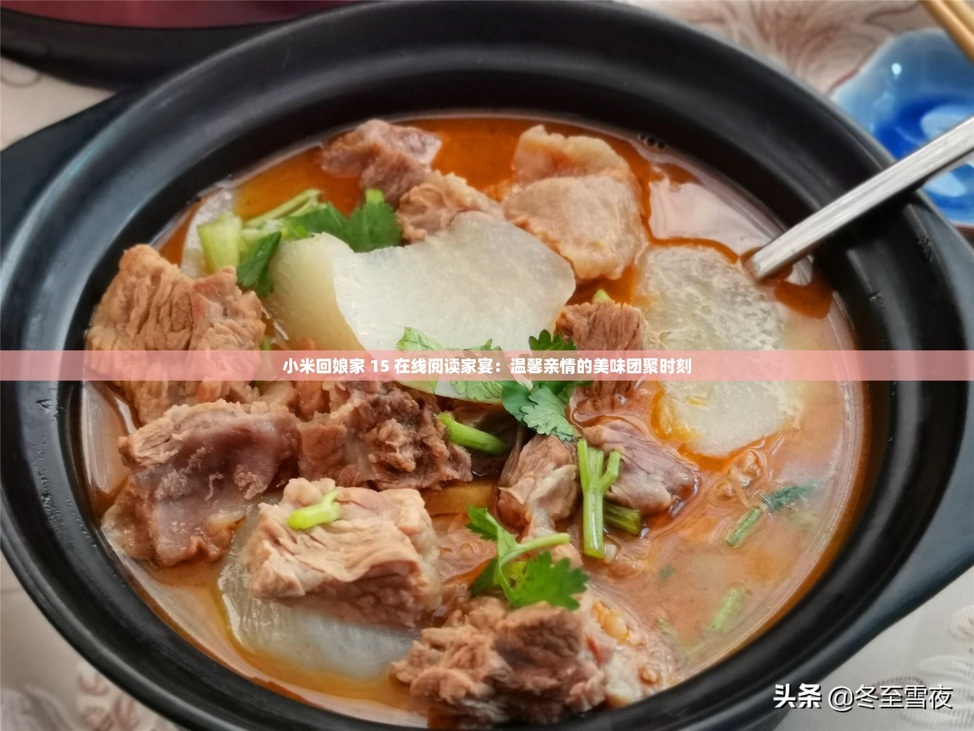小米回娘家 15 在线阅读家宴：温馨亲情的美味团聚时刻