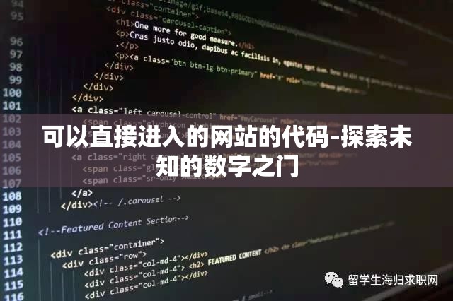 可以直接进入的网站的代码-探索未知的数字之门