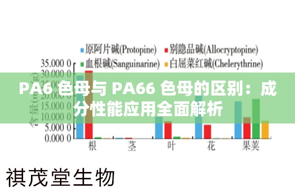 PA6 色母与 PA66 色母的区别：成分性能应用全面解析