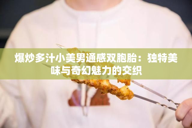 爆炒多汁小美男通感双胞胎：独特美味与奇幻魅力的交织