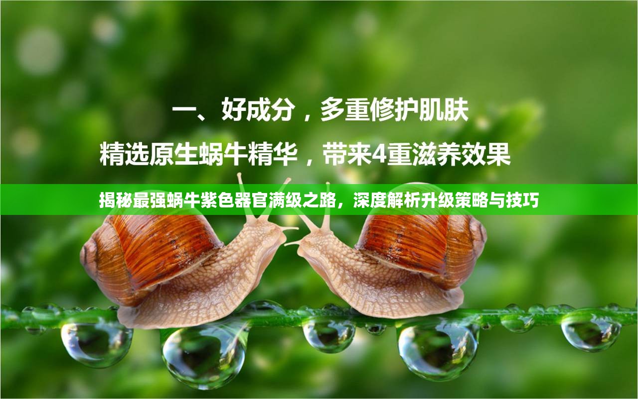 揭秘最强蜗牛紫色器官满级之路，深度解析升级策略与技巧