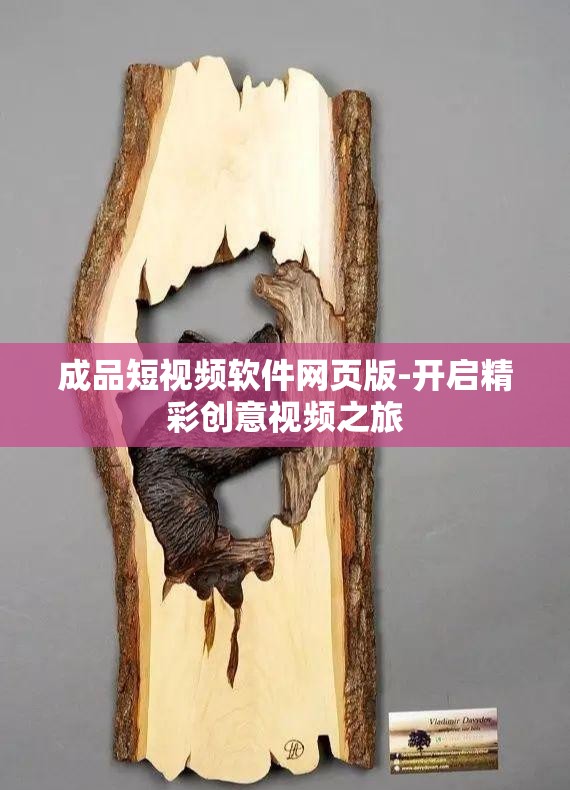 成品短视频软件网页版-开启精彩创意视频之旅