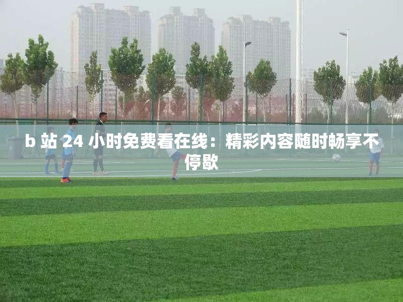 b 站 24 小时免费看在线：精彩内容随时畅享不停歇